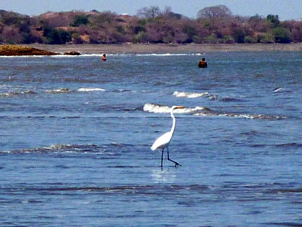 Villa Pelicano Las Tablas Luaran gambar
